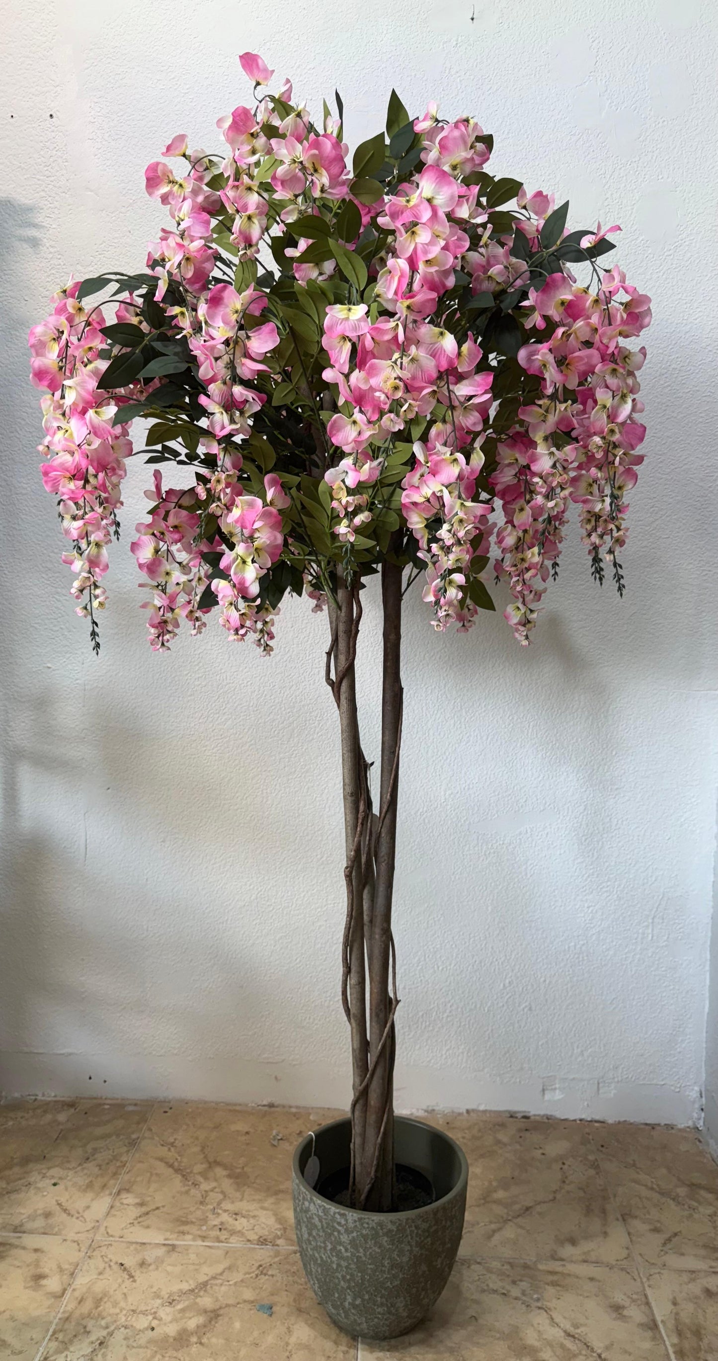 Bloesemboom