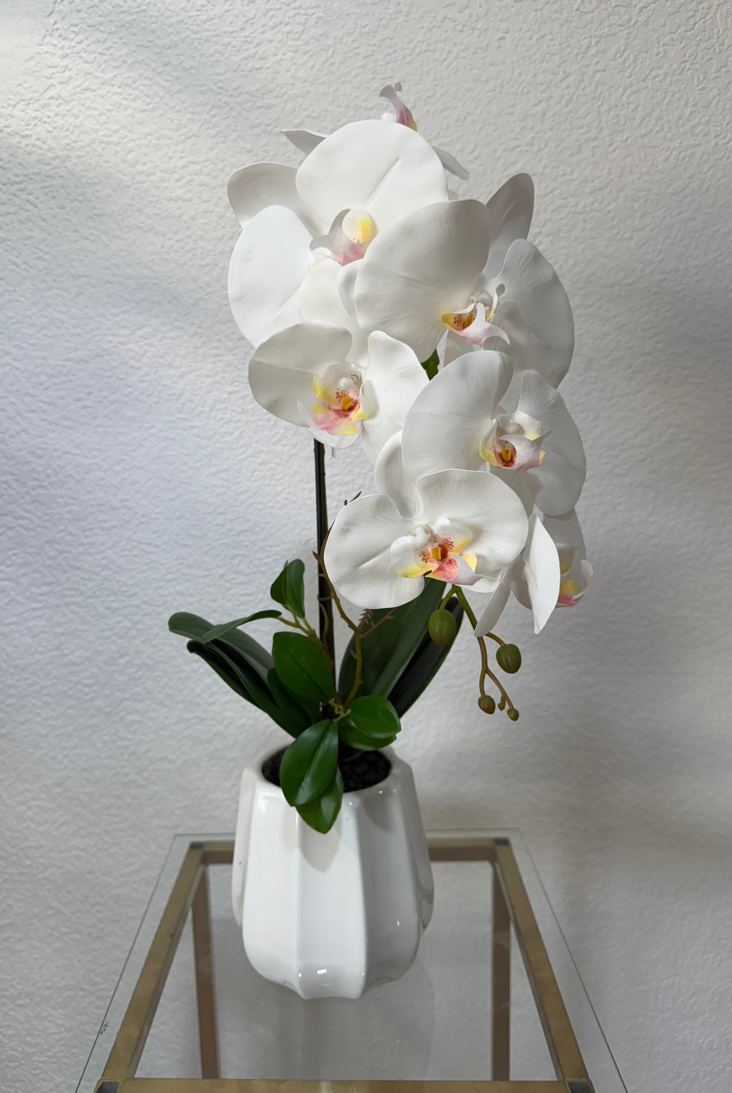 Orchidee