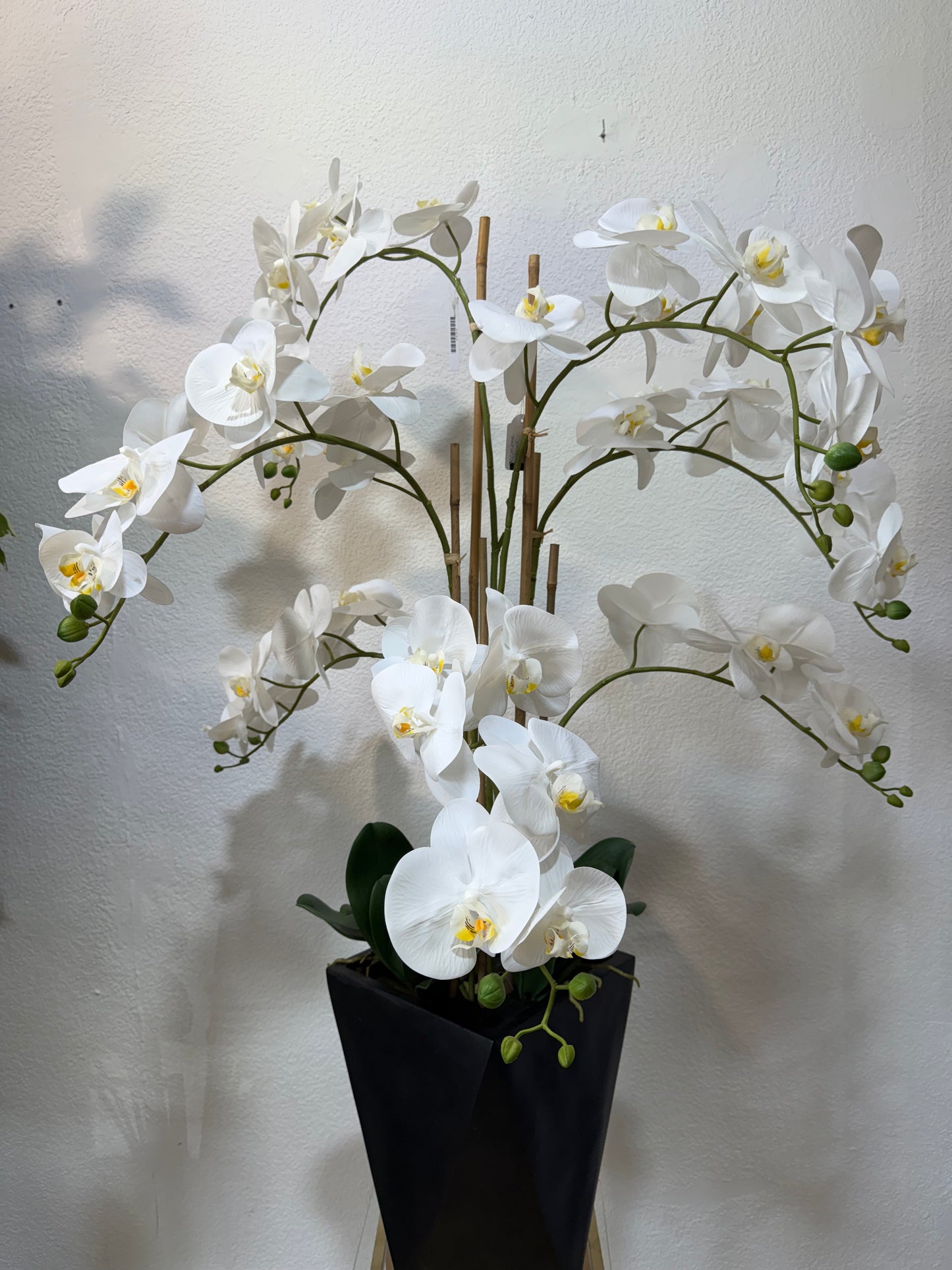 Orchidee 125cm