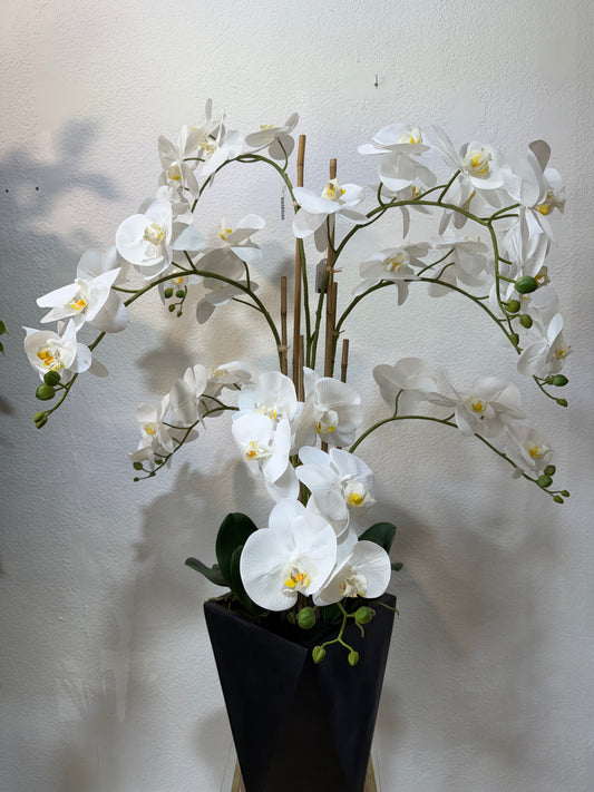 Orchidee 125cm