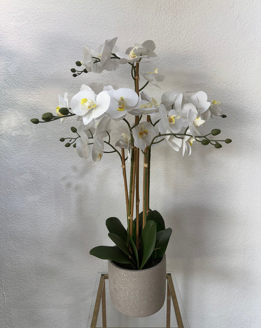 Orchidee 80cm
