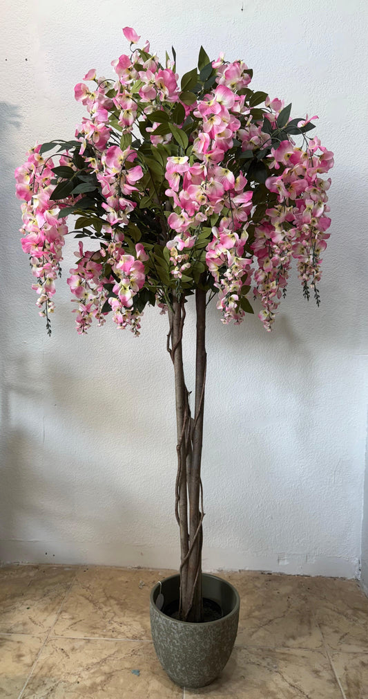 Bloesemboom