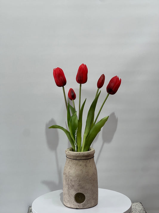 Tulips